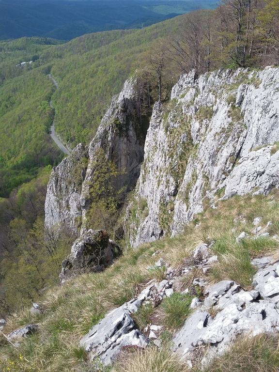Pensiunea Piatra Graitoare Vartop Exterior photo
